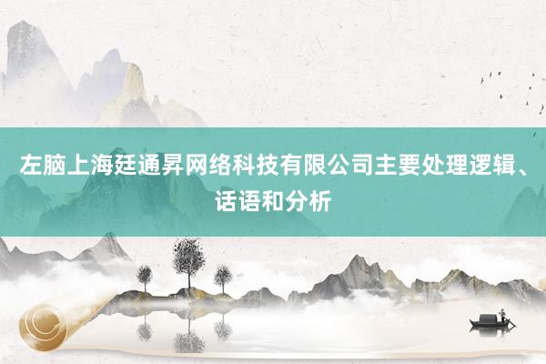 左脑上海廷通昇网络科技有限公司主要处理逻辑、话语和分析